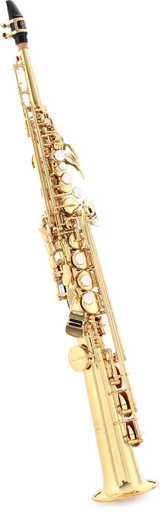 美品 Heinrich ハインリヒ ソプラノサックス ゴールドラッカー 管楽器 414QTbQUmTL.jpg_BO30,255,255,